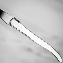 Claude Dozorme Laguiole 2pc Carving Set In Gift Box - Stainless Steel Handle -Kitchen Knife Store 2.60.020.51. farrar tanner handle