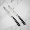 Lion Sabatier Edonist 2pc Steak Knife Set -Kitchen Knife Store 808280 steakknifeset2 1