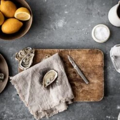 Global GSF GSF-18 Shellfish Knife 5cm -Kitchen Knife Store global gsf gsf 18 shellfish knife 5cm p545 12367 image