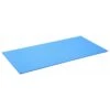 Hasegawa FYS-2512 Non- Slip Mat 250 X 120 Mm