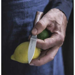 Opinel Les Forgés 1890 Paring Knife -Kitchen Knife Store office 2