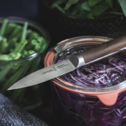 Opinel Les Forgés 1890 Paring Knife -Kitchen Knife Store office.png 1 0