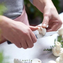 Opinel Intempora Trio 25 Opinel Intempora Trio -Kitchen Knife Store office.png 2