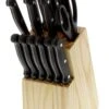 Pradel Excellence 17-piece Knife Block Set - Riveted Handles -Kitchen Knife Store pradel excellence 17 piece knife block set riveted handles