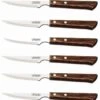 Tramontina 6-piece Steak Knife Set - Brown Handles And Serrated Blades -Kitchen Knife Store tramontina 6 piece steak knife set brown handles serrated blades